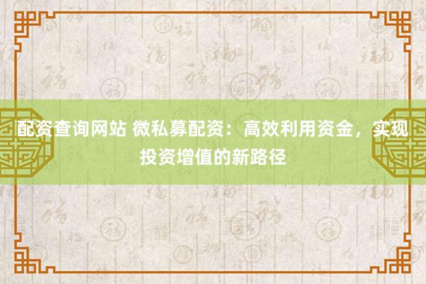 配资查询网站 微私募配资：高效利用资金，实现投资增值的新路径