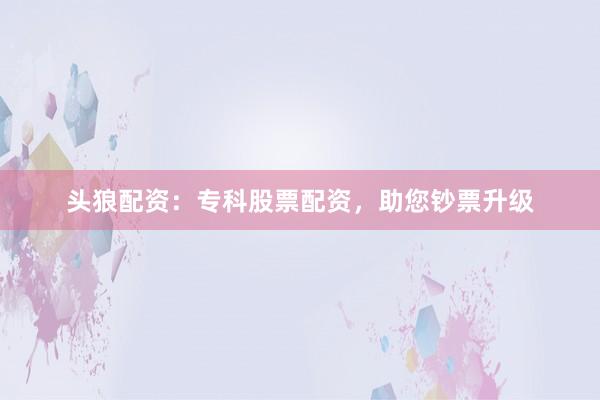 头狼配资：专科股票配资，助您钞票升级