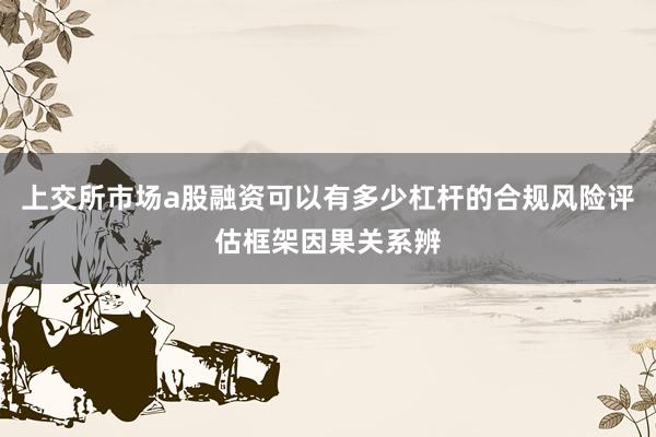 上交所市场a股融资可以有多少杠杆的合规风险评估框架因果关系辨