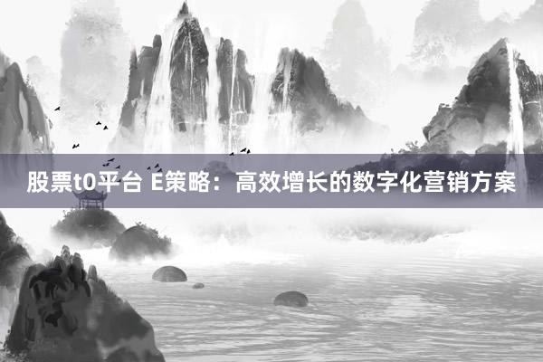股票t0平台 E策略：高效增长的数字化营销方案