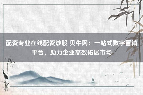 配资专业在线配资炒股 贝牛网：一站式数字营销平台，助力企业高效拓展市场